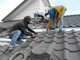 Best 4 Ply Roofing  in Newton, TX